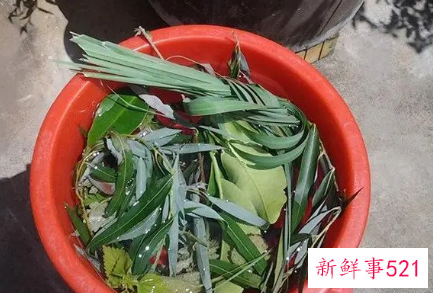 端午节打午时水