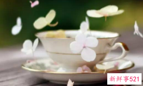 每天一个养生小秘方图片