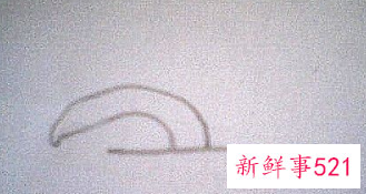 君子兰的简笔画