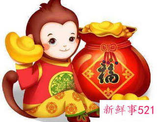 属猴人一生的财运和命运