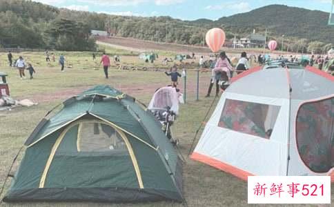 户外露营需要准备什么