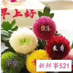 情人之间的早安问候语