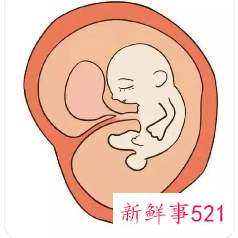 怀孕是9个月还是10个月