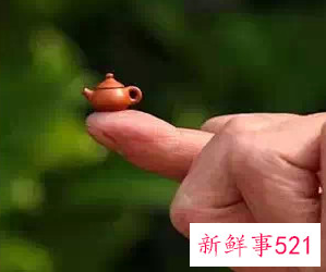 世界上最小的茶壶