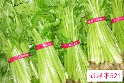 怎样清洗芹菜的农药残留