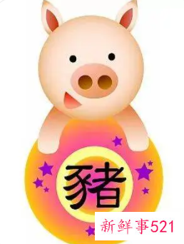 1983年属猪的幸运数字