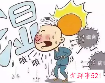体寒又容易上火喝什么茶