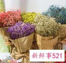 家里放满天星干花好吗