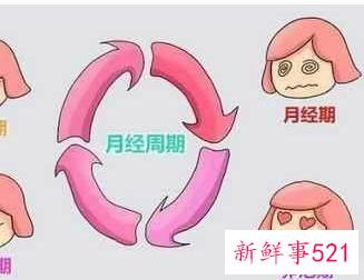 怀孕周数是如何计算的