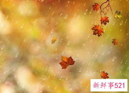 面对挫折作文800字