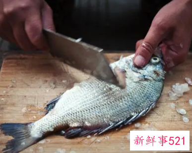 梦见一条鱼咬我我把它打死了