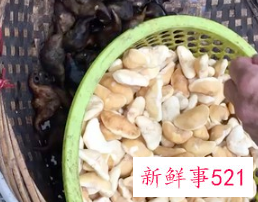 菱角和什么一起煲汤