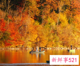 男生得到你第一次有什么反应