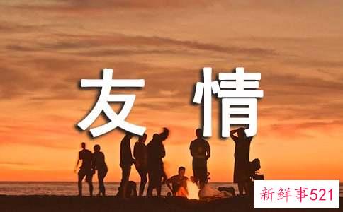 射手和金牛座配对指数友情