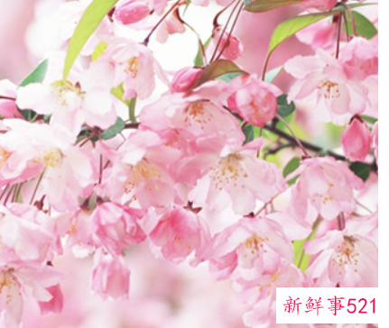 金牛座爱上得不到的人