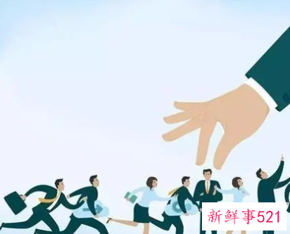 个人的感想极对公司的建议