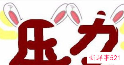 人是结婚好还是不结婚好