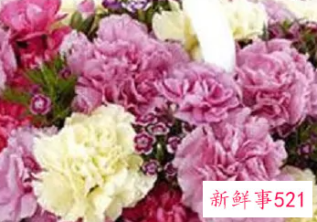 适合小学生毕业的礼物有哪些