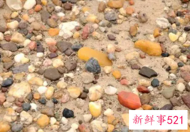 梦见自己捡水里的石头