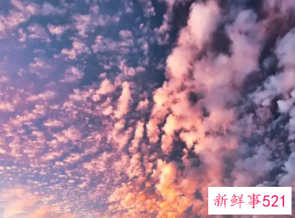 梦见天空低垂预示什么