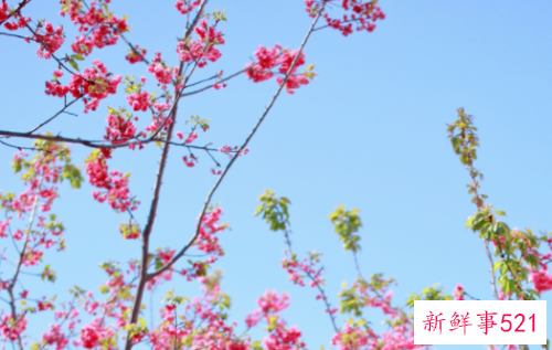 小技巧成就诱人简历