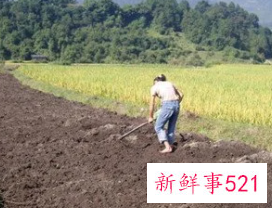 梦见挖沟是什么意思