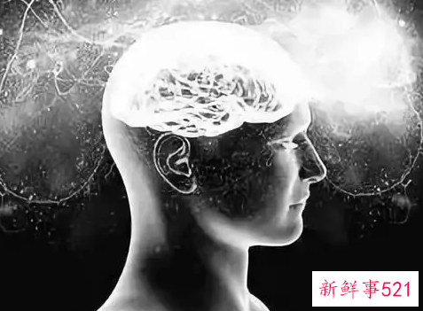 精神状态分为哪几种