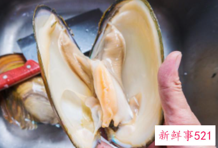 大河蚌的做法