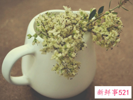 这样的男性更受女性青睐