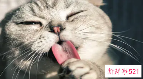 梦见笑声有什么征兆