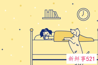 动物可以陪人睡觉吗