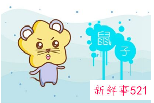 属鼠做什么行业顺利