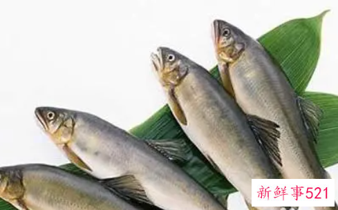 鱼不可与什么同食