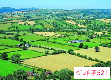 梦见很多特别美好的景色