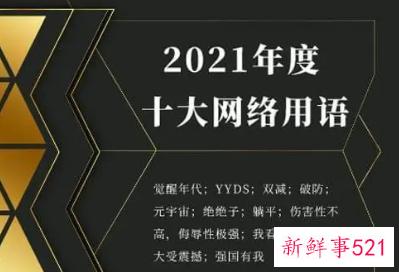 怎么看待网络流行语