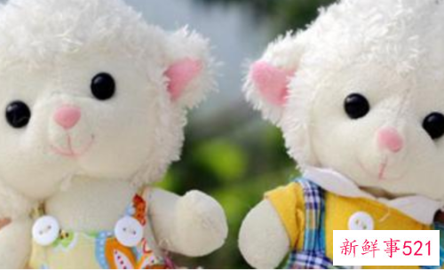 从宝宝最爱的玩具可看出宝宝的性格