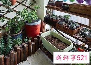 如何利用阳台空间