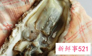 正确蒸生蚝的方法