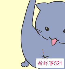 动物可以陪人睡觉吗