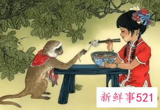 智商高的生肖女