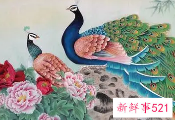 孔雀在风水中代表什么