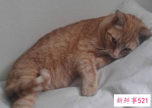 心情不好睡觉危害