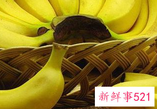 什么食物吃了对胃有好处