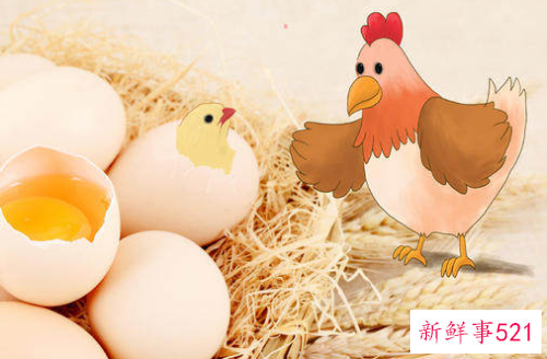 生肖鸡运势详解