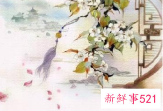 十二星座最特殊的星座排名