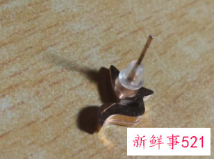 耳钉后面有两个塞子应该带哪一个