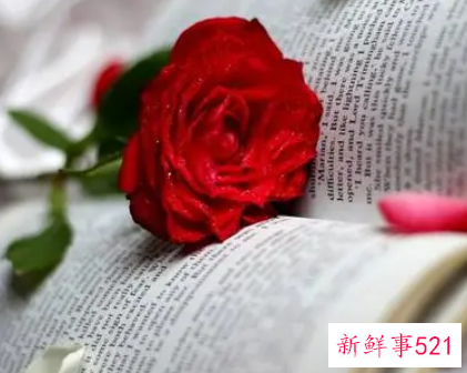 隐藏极深的高级渣女个人简介