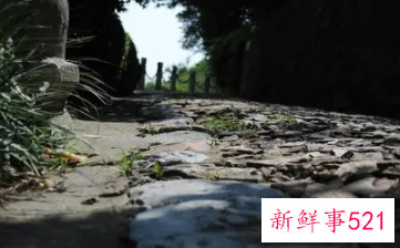 梦见走山路有什么征兆