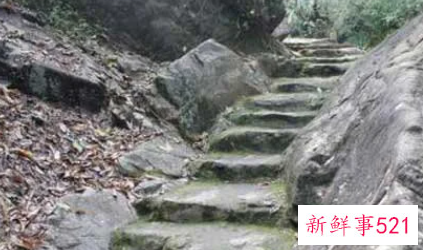 梦见走山路有什么征兆