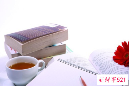 财务总监工作总结